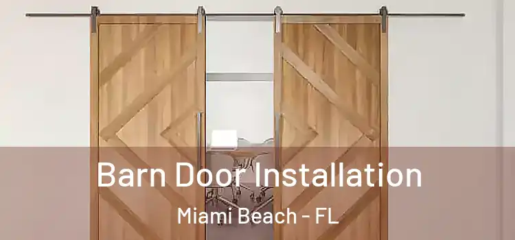 Barn Door Installation Miami Beach - FL