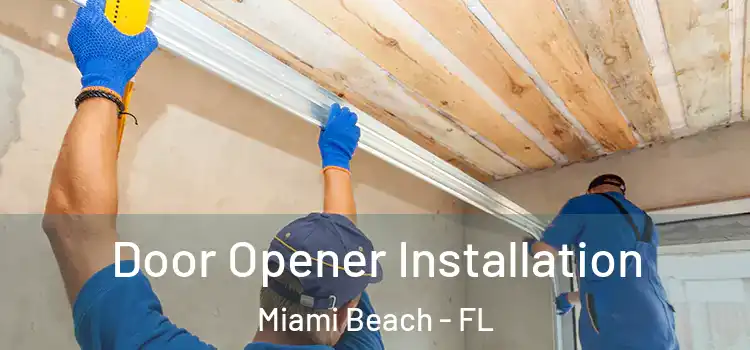  Door Opener Installation Miami Beach - FL