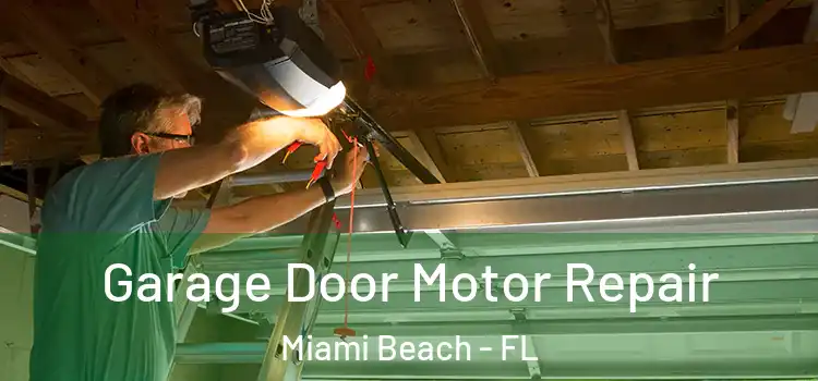  Garage Door Motor Repair Miami Beach - FL