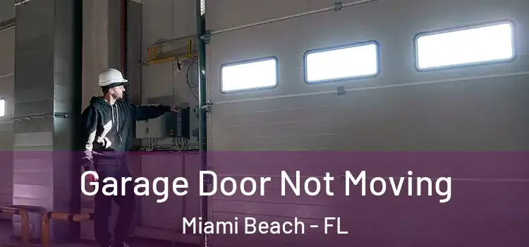  Garage Door Not Moving Miami Beach - FL