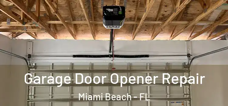  Garage Door Opener Repair Miami Beach - FL