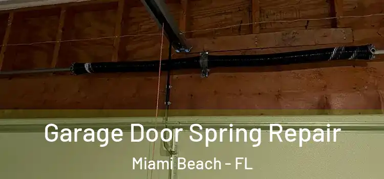  Garage Door Spring Repair Miami Beach - FL