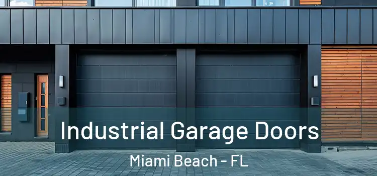  Industrial Garage Doors Miami Beach - FL