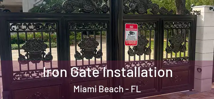 Iron Gate Installation Miami Beach - FL