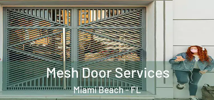 Mesh Door Services Miami Beach - FL